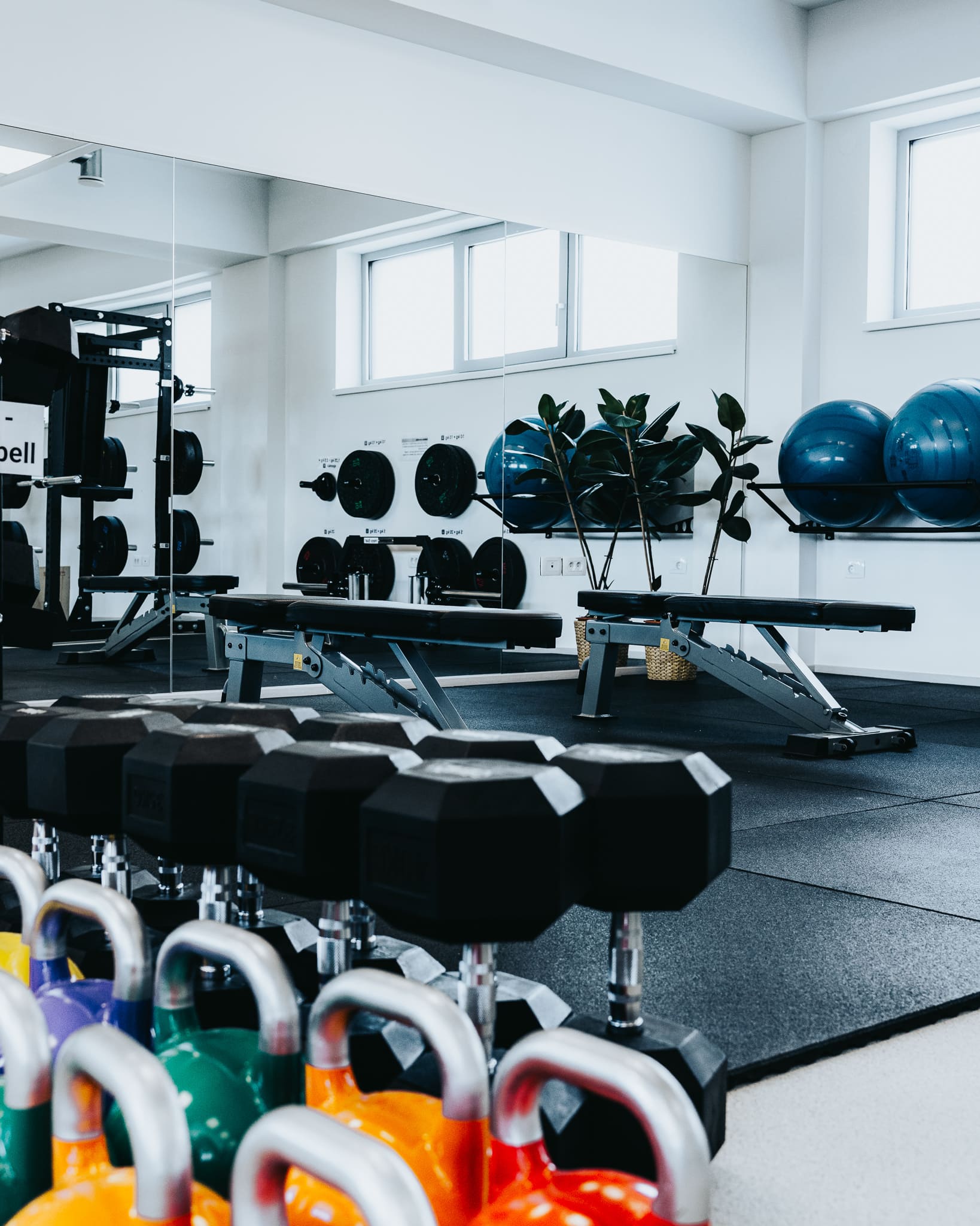 Urejena linija kinezioloških kettlebell uteži na stojalu